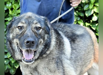 Margherito - Das gestohlene Leben