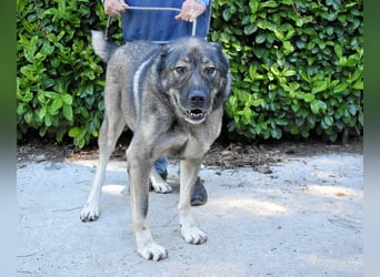 Margherito - Das gestohlene Leben