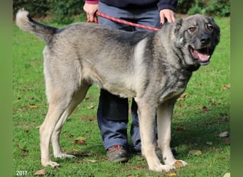 Margherito - Das gestohlene Leben