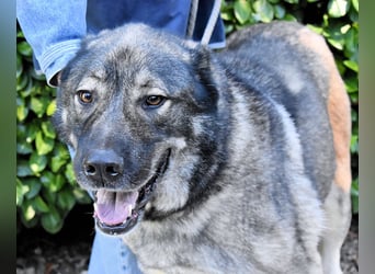 Margherito - Das gestohlene Leben