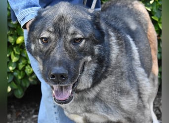 Margherito - Das gestohlene Leben