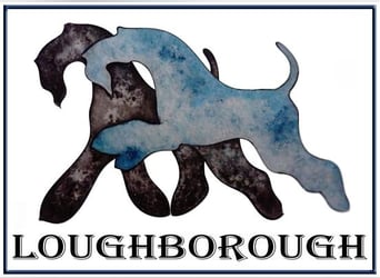 Kerry Blue Terrier Welpen – kleine Kunstwerke auf vier Pfoten suchen ihr Für-immer-Zuhause