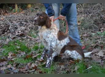 Mottle - Dein Freund fürs Leben