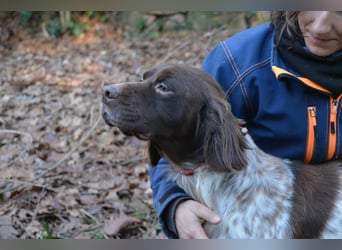 Mottle - Dein Freund fürs Leben