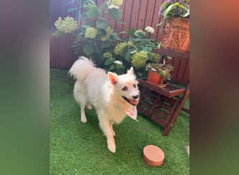 Rosie SR, super süß und freundlich