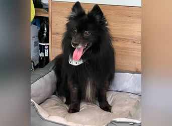 Casper SR, sein Name ist Programm