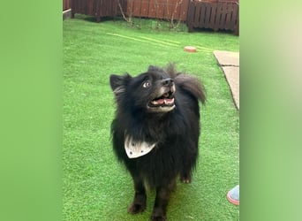 Casper SR, sein Name ist Programm