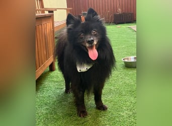 Casper SR, sein Name ist Programm