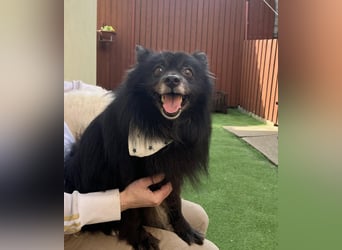 Casper SR, sein Name ist Programm