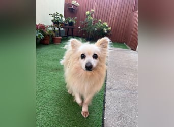 Lucky SR, freundlich, ruhig, entspannt