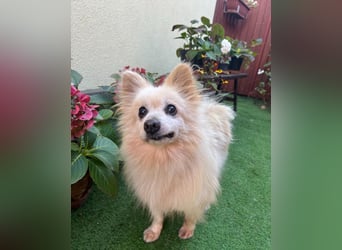 Lucky SR, freundlich, ruhig, entspannt