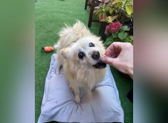 Lucky SR, freundlich, ruhig, entspannt