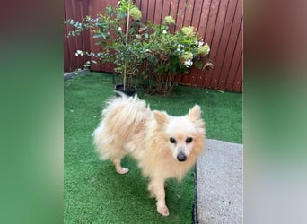 Lucky SR, freundlich, ruhig, entspannt