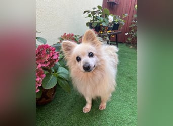 Lucky SR, freundlich, ruhig, entspannt