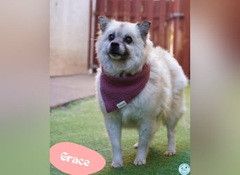 Grace - still und schüchtern