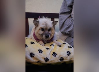 Grace - still und schüchtern