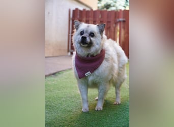 Grace - still und schüchtern