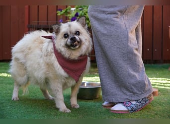 Grace - still und schüchtern