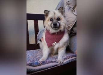 Grace - still und schüchtern