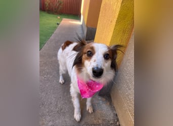 Malia - freundlich, verspielt