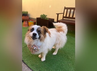 Bodo SR - freundlich, neugierig