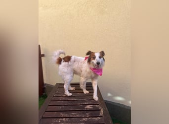 Malia - freundlich, verspielt