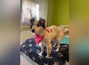 Malia - freundlich, verspielt