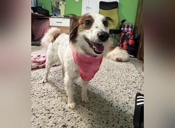 Malia - freundlich, verspielt