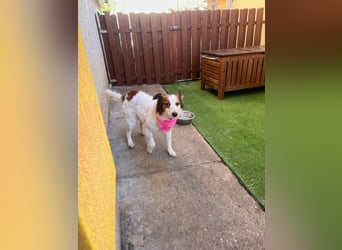 Malia - freundlich, verspielt