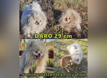 Daro möchte noch vieles lernen