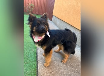 Hope SR - aufgeschlossen, nett 