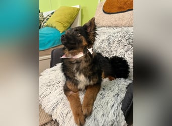 Hope SR - aufgeschlossen, nett 