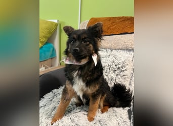 Hope SR - aufgeschlossen, nett 