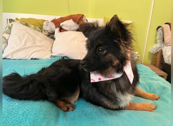 Hope SR - aufgeschlossen, nett 