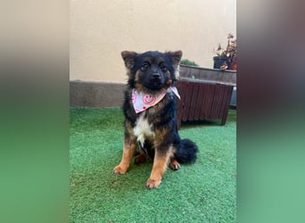 Hope SR - aufgeschlossen, nett 