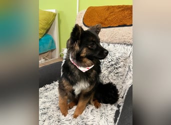 Hope SR - aufgeschlossen, nett 