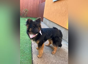 Hope SR - aufgeschlossen, nett 