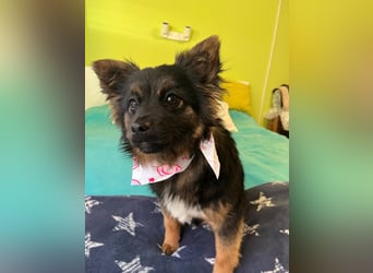 Hope SR - aufgeschlossen, nett 