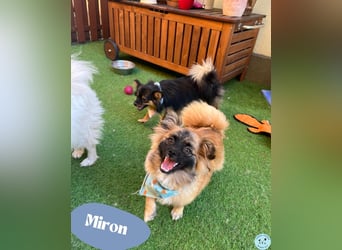 Miron - voller Lebensfreude