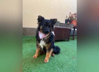 Hope SR - aufgeschlossen, nett 