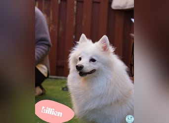 Lillien - schüchtern aber neugierig