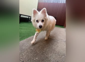 Opi Fritz wünscht sich Menschen mit Herz