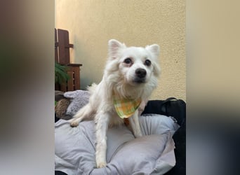 Opi Fritz wünscht sich Menschen mit Herz