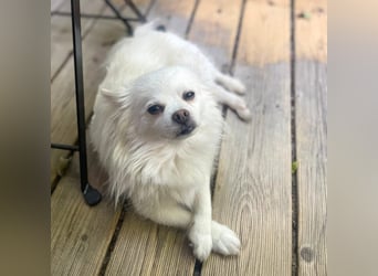 Mia - ist kuschelbedürftig