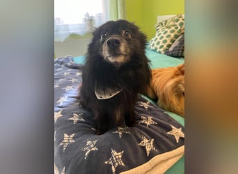 Casper SR – Kleine Maus sucht Herzensmenschen