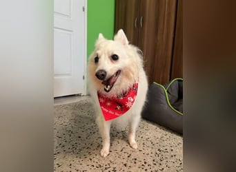 Glory SR - lieb, verschmust