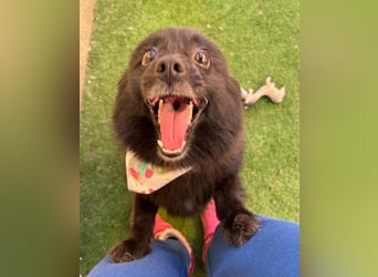 Mable SR- dominant, freundlich