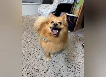 Milou SR - freundlich, aufgeschlossen 