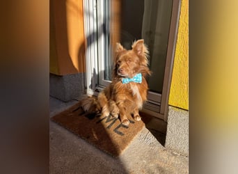 Timon SR - freundlich, gutherzig