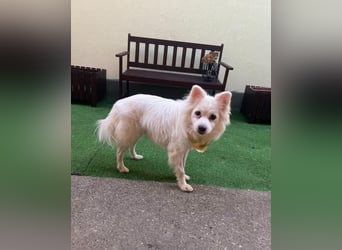 Fritz - gelassen, rüstiger Rentner